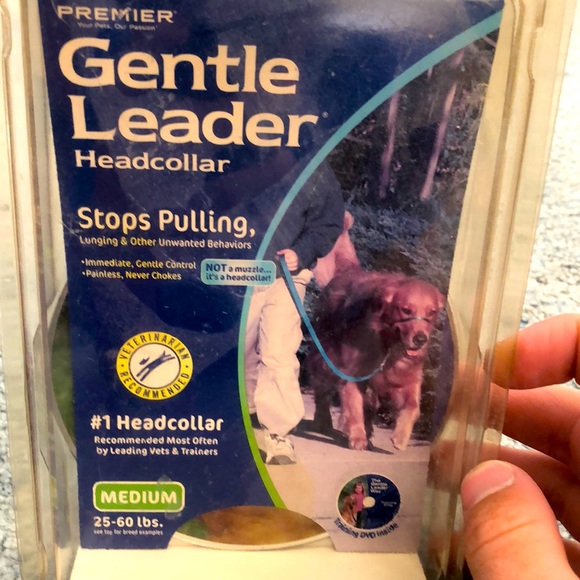 Gentle leader dog collar